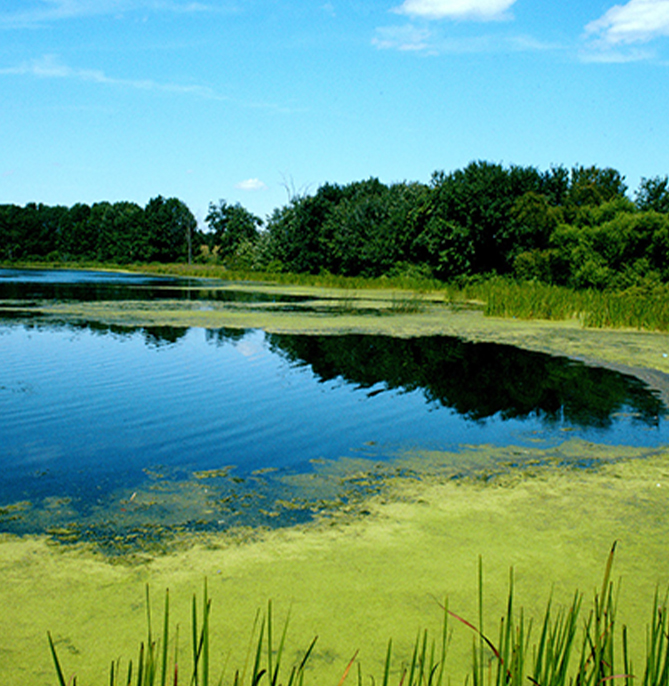 12.Surface-waters 12.Surface-waters